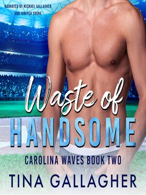 cover image of Waste of Handsome